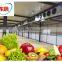 warehouse modular prefabricated food milk flower onion potato fruit and vegetables cold storage