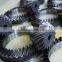 1:4 Straight Bevel Gear