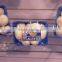 good-sale fruit and vegetable fresh packing tray