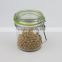 250ML Clear Hermetic Glass Spice Jar with Metal Clip and Silicon Ring & Glass Candy Jar