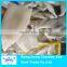 Cleaned illex squid tube U4