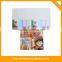 Onzing new colorful pet sticky notes