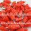 pigeon drinkers and feeders/automatic high quality automatic chicken nipple drinker