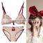 Hot Selling Sexy Transparent Bra for Women Sexy Girls with Panties and Bra