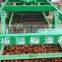 Taian chestnuts china fresh chestnuts for USA