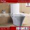 Chaozhou Manufacturer Combination Toilet Bidet , P Trap Two Piece Toilet, Best Competitive wc Toilet Price
