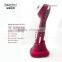 High-efficiency ion nutrition-in beauty home use machine for personal care