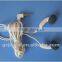 Supply Portable Design Electrocardiograph