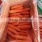 2016 NEW CROP FRESH RED CARROT FOR SALE