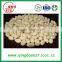 Hot sale 26/36 36/41 blanched peanut kernel with high quality from china