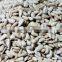 Bakery Hulled Sunflower Seed Kernels Price