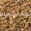 Fresh new crop raw peanut split 51/61