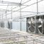 The best Greenhouse exhaust fan/Poultry exhaust fan in China