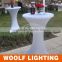 Waterproof Light Up Battery Powered and Rechargeable Outdoor LED Decoration Wares