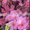 artifical trees large artifical cherry blossom trees artificial wooden tree