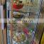 Automatic Pasta Macaroni Making Machine Italian pasta Macaroni fusilli production machine
