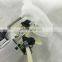 Fuel Pump Assembly fit for Volvo 0069098/A2C85760101