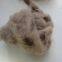 Natural  Brown Gray Color 100% Mink Hair Animal Fiber