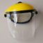 Transparent Mask for Garden Protection, Steel Mesh Mask