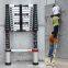 Single Telescopic Ladder