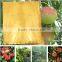 Peach fruit covering paper bag
