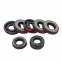 High Quality Rubber Oil Seal for Gas Spring NBR Oil Seal Ring Gas Spring Seals