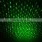 Garden Tree and Wall Decoration Outdoor Laser Spot Lights for Holiday Lighting (Green and Blue Leds))