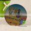 Custom beautiful souvenir tinplate fridge magnet for different countries