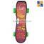 newest 200w ESB-200PL electric skateboard sports with plastic board