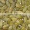 new crop chinese shin skin pumpkin seed kernel