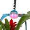 LED decoration light with plant