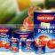 18-20% 22-24% 28-30% easy open & normal lid canned tomato paste from factory