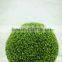 Garden decoration artificial ball, home decor artificial ball
