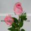 For Friend Gift High Quality Natural Preserved Roses Flowers Farm Wholesale For Gift Ramadan Gift From Yunnan