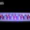 5w diodes 1600W led grow light full spectrum for hemp grow and bloom