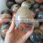 Custom Different Sizes Ocean Jasper Eggs Easter Stone Eggs Gifts