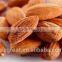 Roasted salted Apricot Kernels without shell for hot sale