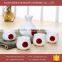 Hot Sale Ceramic Wine Set, Korea/Japanese Sake Set