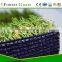 Luxury landscaping synthetic grass
