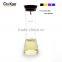 Eco-friendly Borosilicate Blown Glass Water Bottle