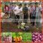 Two line manual onion seeder