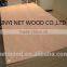 Best price okoume/Bintangor plywood for furniture