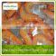 High Quality Product Raw Frozen White Vannamei Shrimp