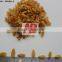 Golden AAA grade Raisin from India / Price of raisins