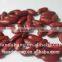 The Newest Crop england red kidney beans