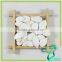 High Nutrition Chinese White Pumpkin Seeds