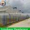 Multi span cheap uv protected plastic greenhouse