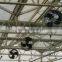 Factory Price Air Circulation Fan for industrial /greenhouse/poultry farming wth CE,CCC certification
