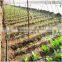 PVC Drip Tape for Farm Drip Irrigation System