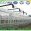 Commercial Greenhouses for sale